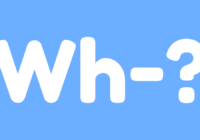 Wh Questions Wh Questions