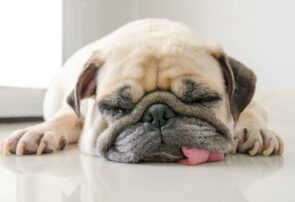 چند عبارت جایگزین “I’m tired”