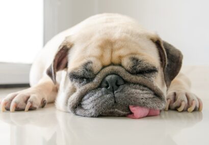 چند عبارت جایگزین “I’m tired”