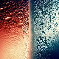 تفاوت Moisture & Humidity